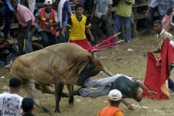 6154c43f1eda512a68667b929c91535b_1449892881